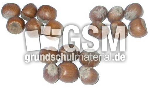 Haselnüsse-3x6.jpg